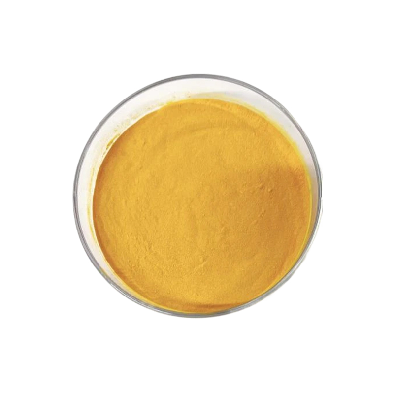 How does the health supplement ingredient oxidized coenzyme Q10 help regulate cellular redox balance and protect against free radical damage?